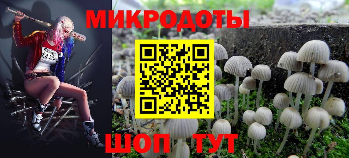 Псилоцибиновые грибы GOLDEN TEACHER Красноуфимск